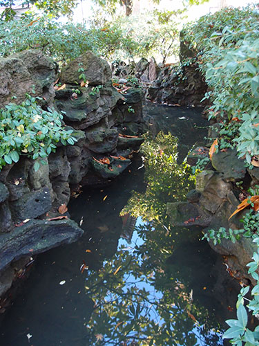 Dr. Sun Yat-sen Classical Chinese Garden