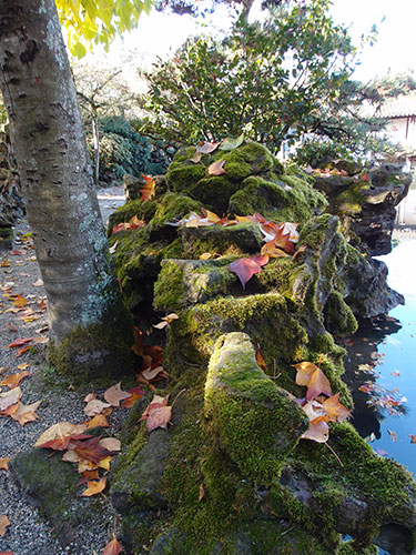 Dr. Sun Yat-sen Classical Chinese Garden