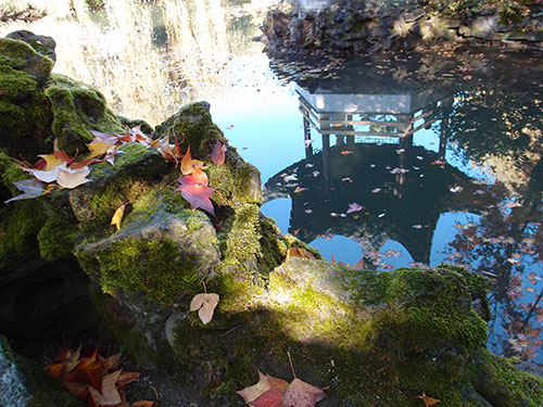 Dr. Sun Yat-sen Classical Chinese Garden