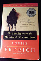 The Last Report on the Miracle at Little No Horse